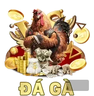 Kèo chấp đá gà